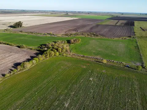 Campo en Venta de 83  ha