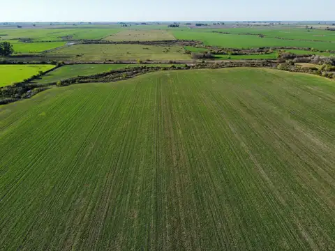 Campo en Venta con Alambrado