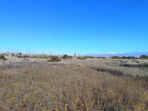 Terreno en  Venta
