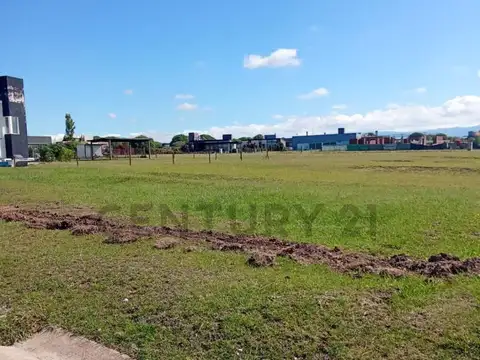 Puerto del Aguila , Piso 0