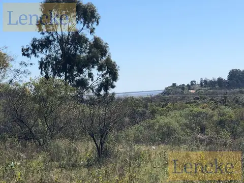 Lomas de punta gorda