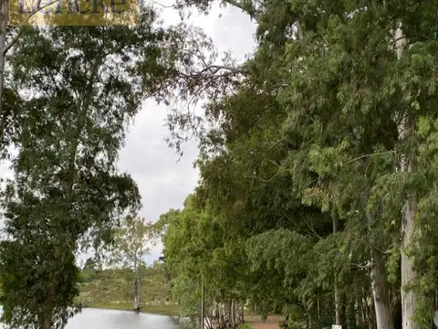 Lomas de punta gorda