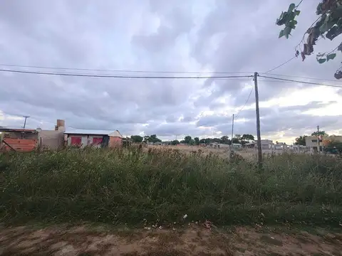 61  e/  12 y 13