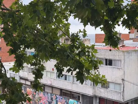 Apartamento 2 Dormitorios con Renta en Barrio Sur