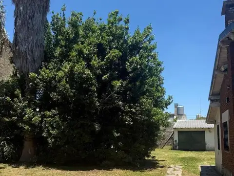 Gustavo Becquer Al 2100