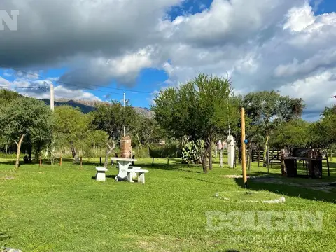 Camino del Medio al 100