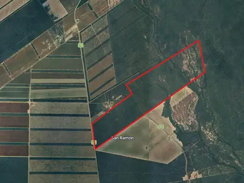Campo en Venta - Pellegrini, Santiago del Estero