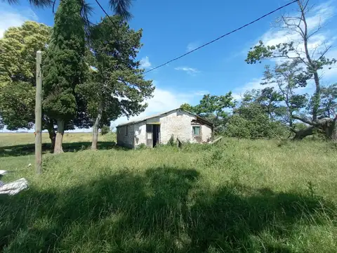 Campo en Venta. Giribone . Gral Belgrano . Bs. As.