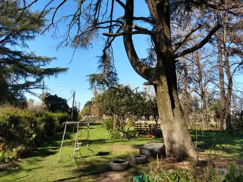 VENDE 4 HECTAREAS - MERLO GOMEZ - NUEVO PRECIO