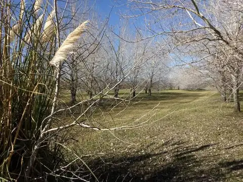 Terreno en Venta de 11000,0 m2