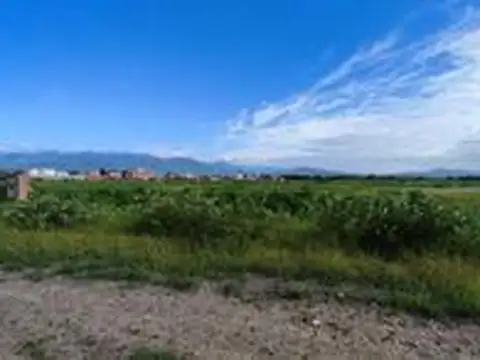 Terreno en Urbanización Vía Aurelia