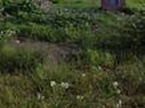 Terreno en Venta de 324,0 m2