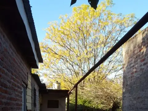 PATRICIAS MENDOCINAS 100