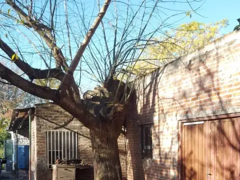 VIVIENDA, DEPARTAMENTOS Y GALPON SOBRE LOTE 1100 M2