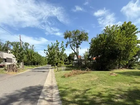 Las Delicias