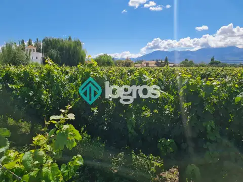 Terreno en Venta en Cafayate, USD 90.000