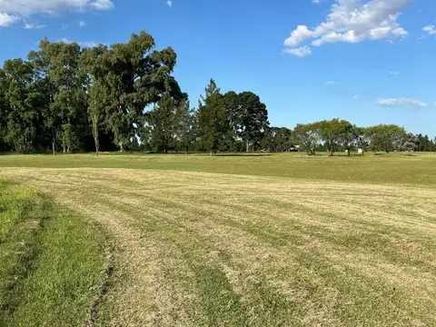 Terreno en Venta 49  mts Frente