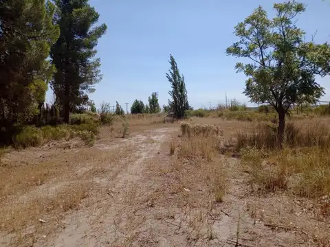 Terreno en Alquiler de 4400,0 m2