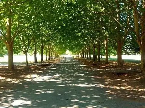 Terreno en Venta en Haras Del Sol, USD 128.000