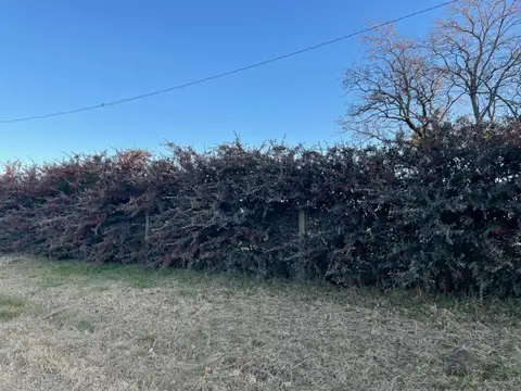 Terreno en Venta de 6100,0 m2