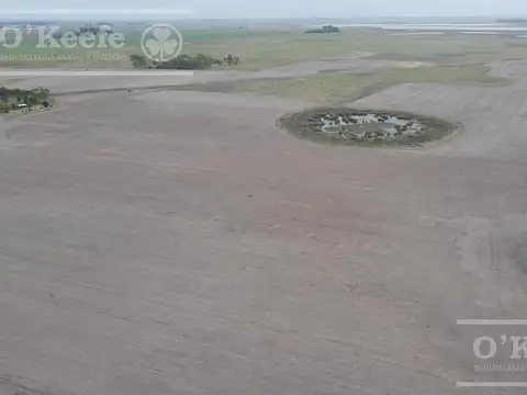 Campo en venta de 90 has en Saladillo Mixto