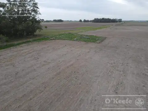 Campo en venta de 90 has en Saladillo Mixto