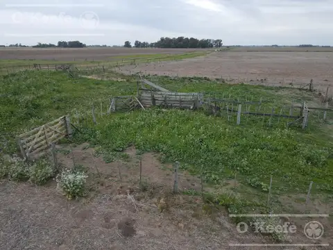 Campo en venta de 90 has en Saladillo Mixto