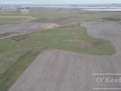 Fraccion mixta de 90 has en Saladillo