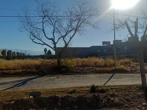 El Plumerillo 100