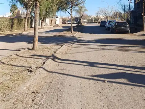 El Plumerillo 100