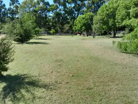 Diagonal 433 barrio Los Aromos