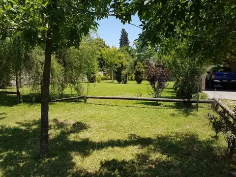 O. V. Andrade 945 - Glew