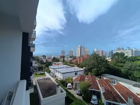 Biarritz y pampas 100