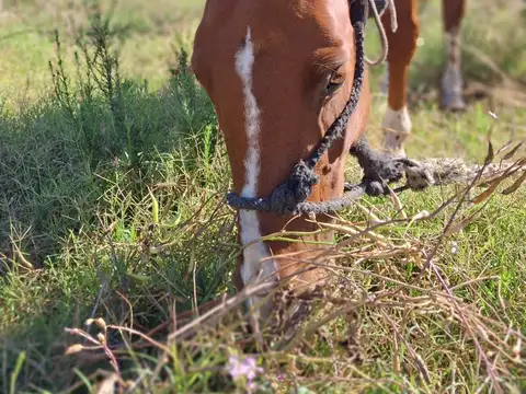 Terrenos en venta