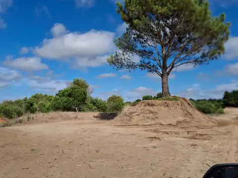 Terrenos en venta