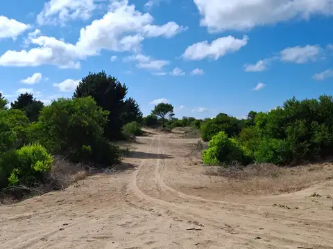 Ruta 11 Km 416