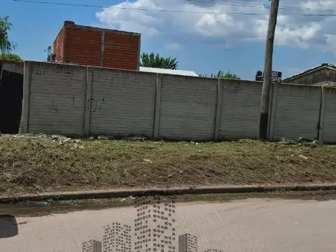 El Mirlo