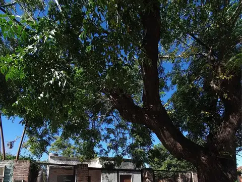 Depto Tipo Casa en Venta de 1 dormitorio