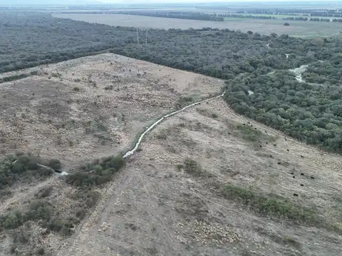 Campo en Venta Agrícola