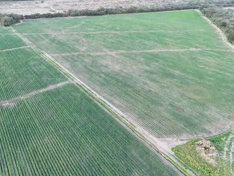 Campo en Venta de 0,02  ha