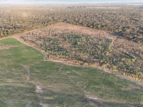 Campo en Venta Agrícola