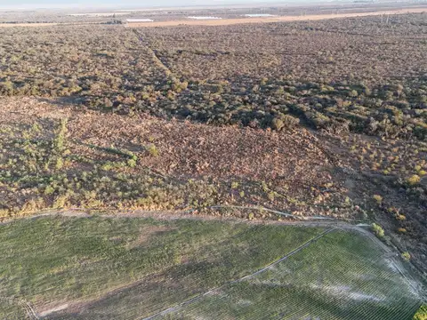 FINCA EN VENTA – 177 HECTÁREAS PRODUCTIVAS Y ESTRATÉGICAS