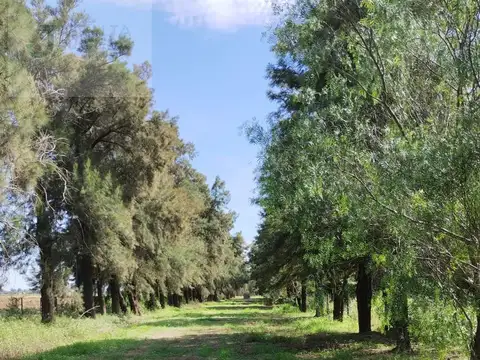Colonia la colorada -Cnel Du Graty- CHaco