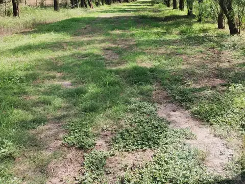 Quinta en Venta al Sureste