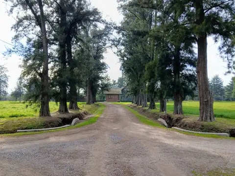 Terreno en Venta 23  mts Frente