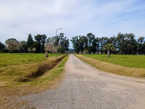 Terreno en Venta 38  mts Fondo