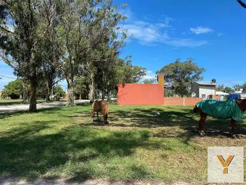Avenida José de San Martín y Manuel Belgrano