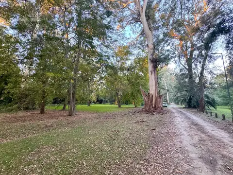 Terreno en venta  en Campos de Roca I