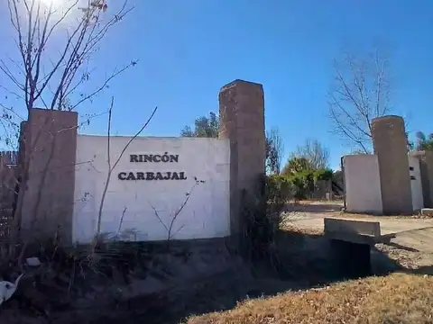 LOTE EN VENTA - LA COLONIA- JUNÍN