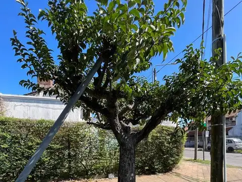 Terreno - Carapachay